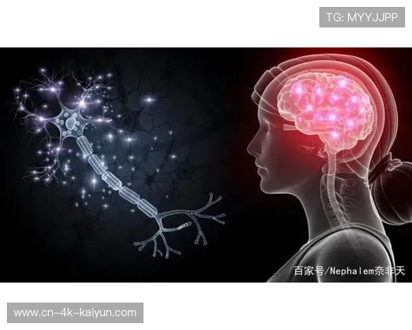脑科学研究成果应用于运动心理训练 提升表现