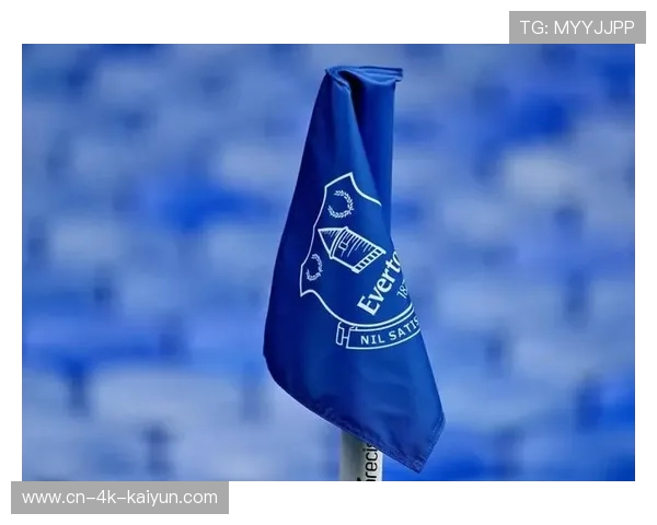 英超多场比赛因场地结冰取消，恶劣天气影响赛程